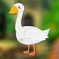 Pekin Duck Escape